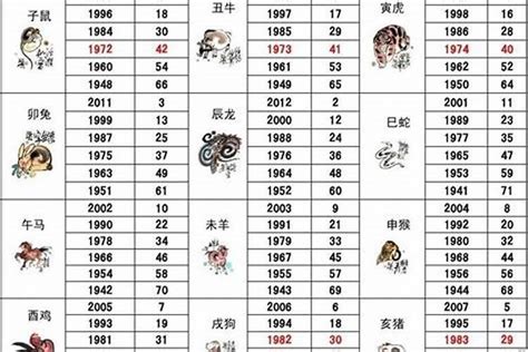 屬狗適合的方位|属狗最佳住房楼层和风水方位